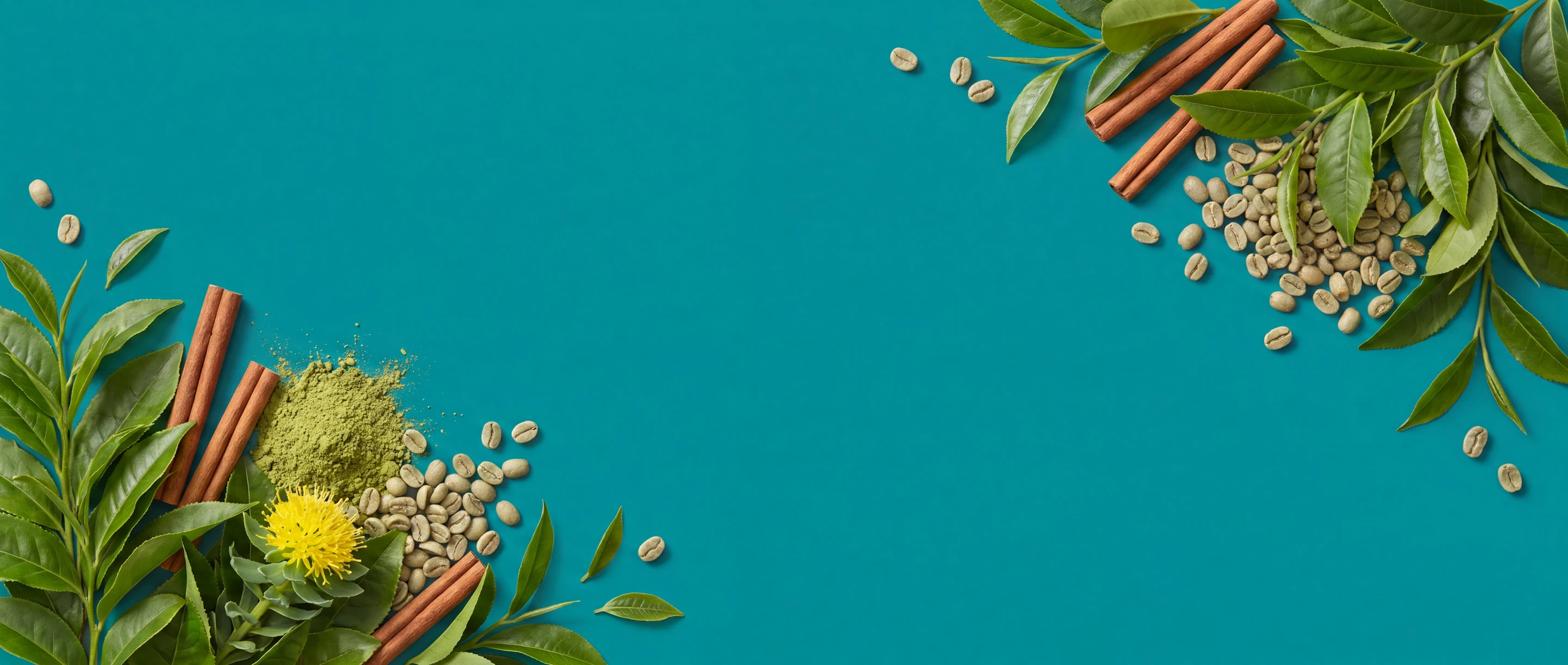 Weight Management Weight Management